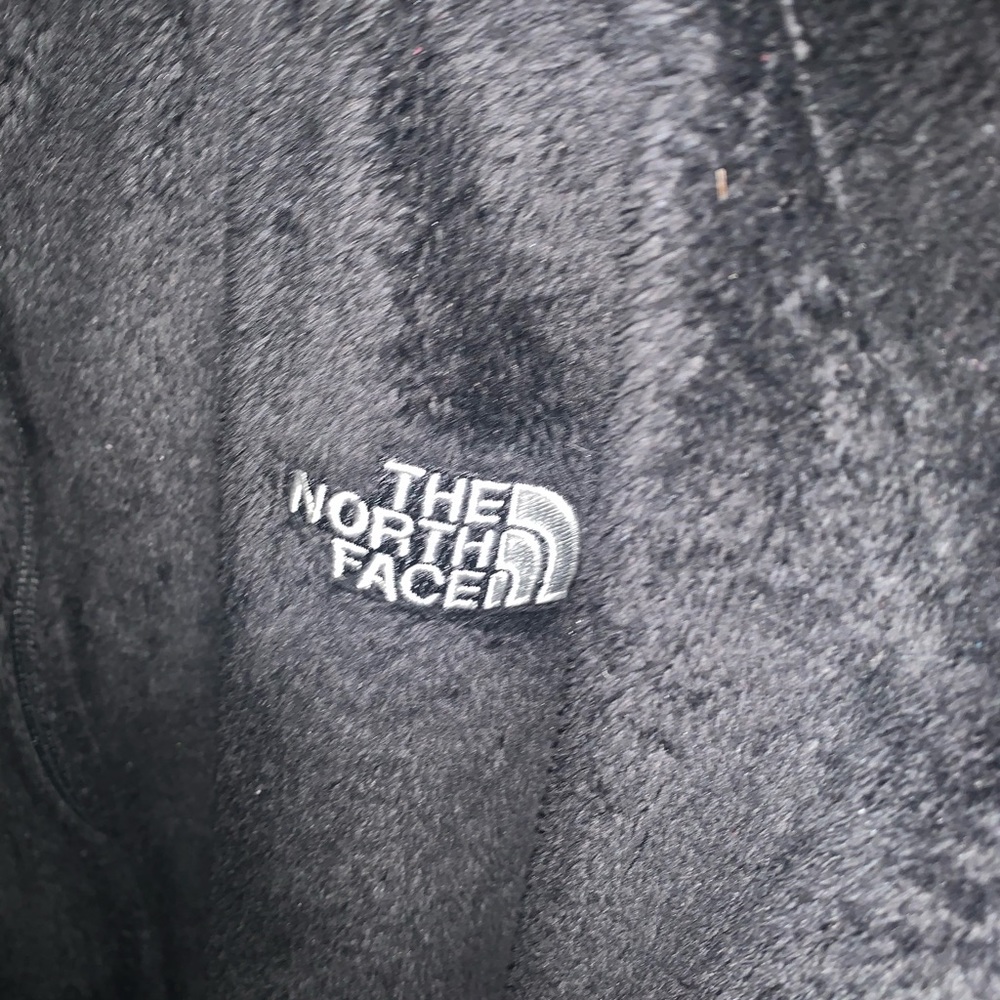 The north face women’s Large osito jacket